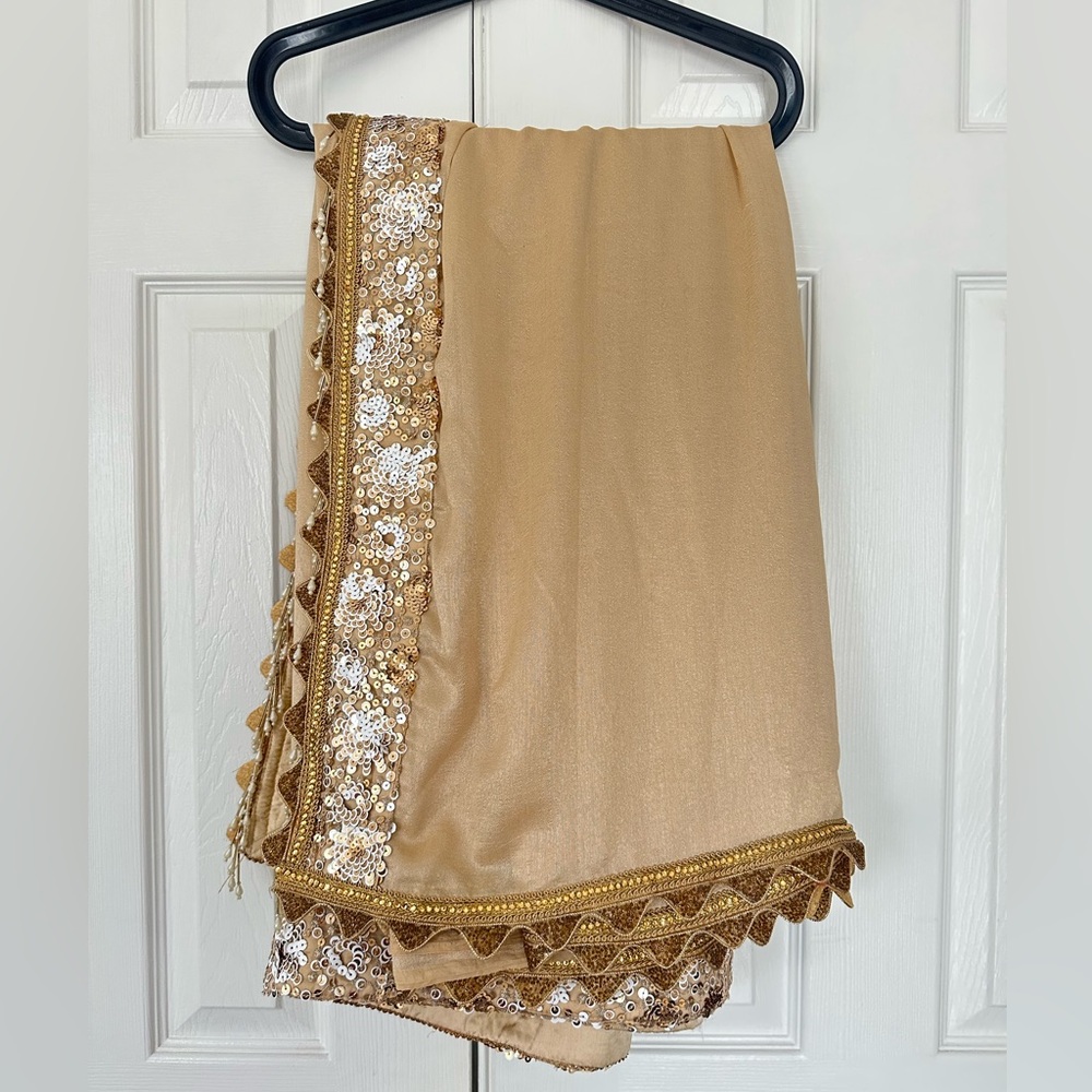 Silk saree with seqin blouse set - Picture 7 of 11